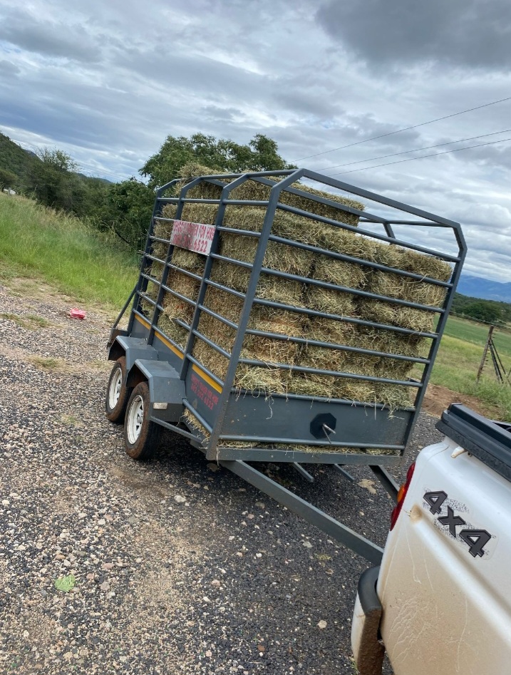 Trailer transport